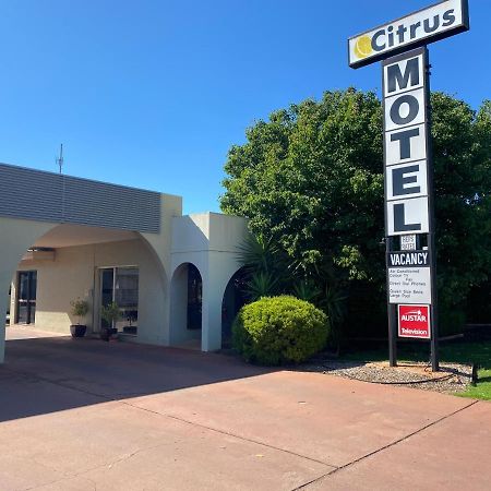 Citrus Motel Griffith Εξωτερικό φωτογραφία