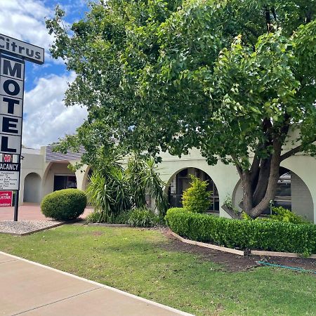 Citrus Motel Griffith Εξωτερικό φωτογραφία